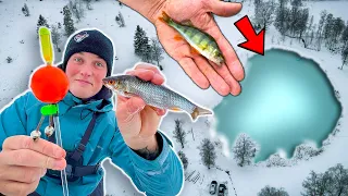 WE PUT BABY FISH IN A SMALL POND 11 YEARS AGO - TRYING ICE FISHING | Team Galant