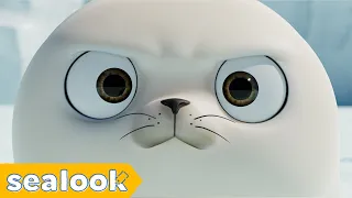 Why is Baby Seal Angry?ㅣSEALOOKㅣEP.58