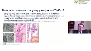 Неврологічні аспекти та шляхи впливу на них при неврологічних проявах COVID-19