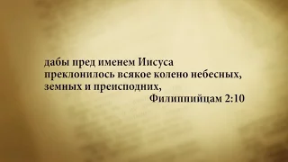 "3 минуты Библии. Стих дня" (16 декабря Филиппийцам 2:10)