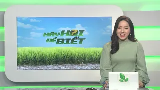 [Trực tiếp] Hãy Hỏi Để Biết, ngày 17/12/2020 (từ 10h20 - 11h20) | VTC16