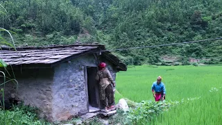 Most Beautiful Nepali Mountain village Life || daily  Rural To Rural lifestyle || TheVillageNepal