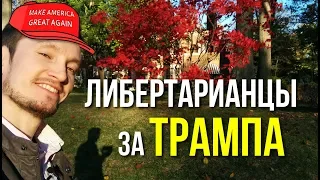 Почему либертарианцы за Трампа