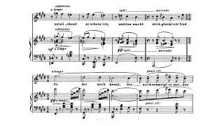Musetta's Waltz-Quando me'n vo (La Boheme) 아리아반주 Piano accompaniment
