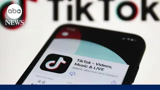 TikTok sues US government over potential ban