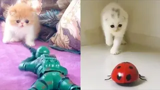 🐈 Cats Reactions to playing Toys😂 ! Funny Cats😺 ! Toy Reaction Compilation