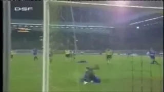 VfB Leipzig - Aufstieg 1992/93 & Bundesliga-Saison