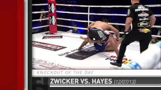 Knockout of the Day: Virgil Zwicker Stops Mike Hayes at KSW 25