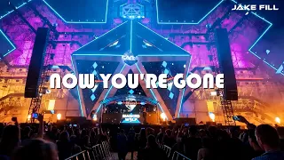 Basshunter - Now You're Gone (Jake Fill Bootleg)