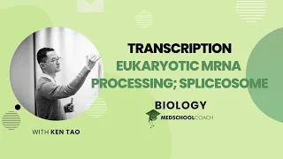 Eukaryotic mRNA Processing; Spliceosome