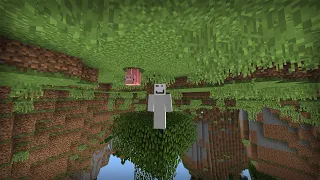 Upside Down Minecraft