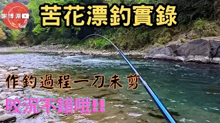 【苦花】漂流釣法實錄｜漂流釣法作釣過程一刀未剪｜有興趣的可以參考看看｜Fishing