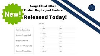 New Feature!  Custom Key Layout now available with Avaya Cloud Office Release 5!  Customized Buttons