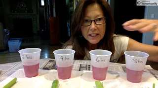 Capillary Action Experiment, Set-up