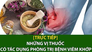 [Trực tiếp] Những vị thuốc có tác dụng phòng trị bệnh viêm khớp | Thuốc nam cho người Việt VTC16