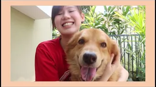 TWICE「Fanfare」MV Reaction Video Challenge with my Dog!