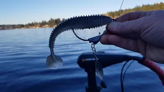 Fishing a Keitech Swimbait