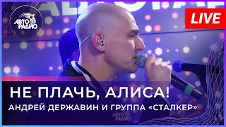 Андрей Державин - Не плачь, Алиса (LIVE@2022)