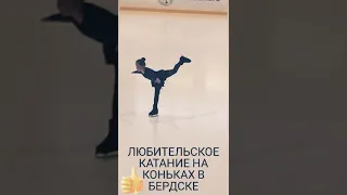 Клуб любителей фигурного катания на коньках "Альфика" г. Бердск.