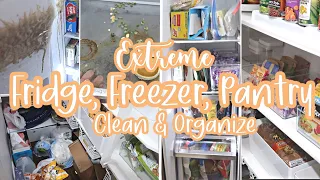FRIDGE FREEZER AND PANTRY DEEP CLEAN / PANTRY CLEAN AND ORGANIZE
