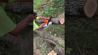 Stihl Ms-362 Cutting Some Wood!