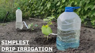 The EASIEST  DRIP IRRIGATION DIY in a FEW MINUTES