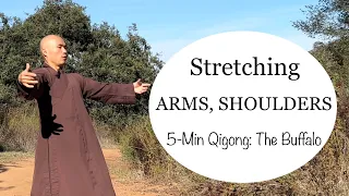 5-Minute Stretching ARMS and SHOULDERS | Qigong The Buffalo