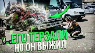 ЕГО ТЕРЗАЛИ | НЕТ ЖИВОГО МЕСТА НА НА НЁМ 😱