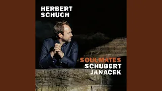 Schubert: 6 Moments musicaux, Op. 94, D. 780 - No. 2, Andantino