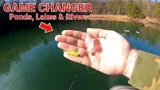 THIS TECHNIQUE CAN CATCH 10× MORE FISH (Trout Fishing Lakes & Ponds!)