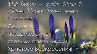 Очень красочное поздравление  со светлым праздником Пасхи! Христос Востину воскрес! МСЦ ЕХБ!