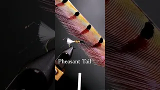 Quil Nymph Variation #shorts #flytying #flytyingtutorial