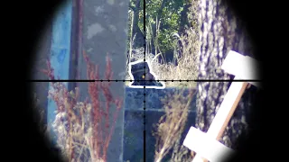Headshot after Headshot - 600 FPS Sniper Rifle