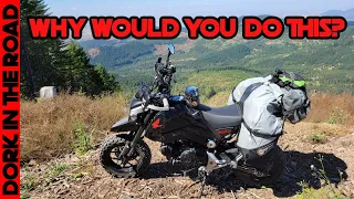 Why an Adventure Grom?  What is The Point of Building and Riding a Honda Grom Off Road?