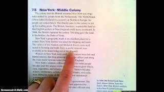 History Alive, Chapter 7:  New York Colony