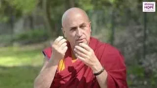 #Empathy explained by Matthieu Ricard