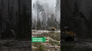 Лесозаготовка  (полное видео)