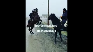 Адыги машАллах🔥😍🐎