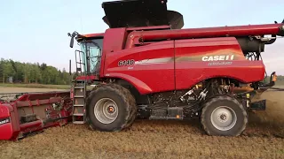 Roottoripuimuri Case IH Axial Flow 6140