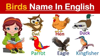 Birds Name In English || Vocabulary In English With Picture || Common Birds Name In English