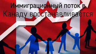 Иммиграционный поток в Канаду восстанавливается