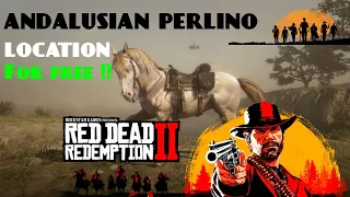 RED DEAD REDEMPTION 2 : Free Rare Horse Location, Andalusian Perlino!!!