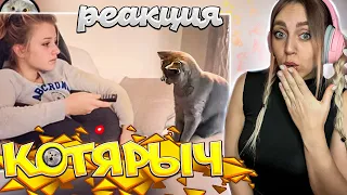 БЕССТЫЖИЕ КОТЫ КОТОРЫЕ ПЕРЕШЛИ ВСЕ ГРАНИЦЫ😈 СМЕШНЫЕ ЖИВОТНЫЕ🙀 |РЕАКЦИЯ на  - Котярыч