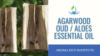 Agarwood Oil | Oud | Aloes In The Bible