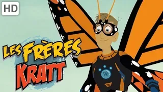 Les Frères Kratt 🦋 Insectes et Arachnides 🐜 | Vidéos pour Enfants