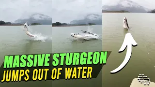 Massive Sturgeon Jumps Out of Water as Guys Fish and Film It