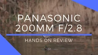 Panasonic Leica DG 200mm f/2.8 + 1.4x Converter Review