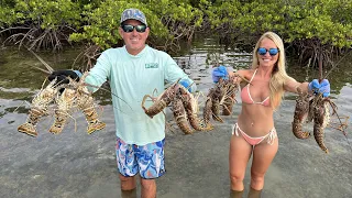 Spiny Lobster in Paradise! (Catch Clean & Cook)