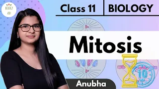 Class 11 || Mitosis Under 10 Mins ! ⏳|| NCERT