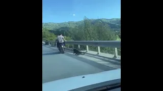 Un câine a fost legat cu lanţul de scuter şi târât pe o şosea